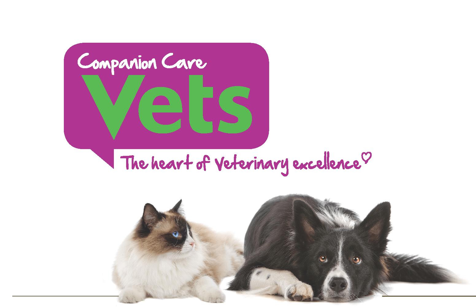 Companion Care Vets